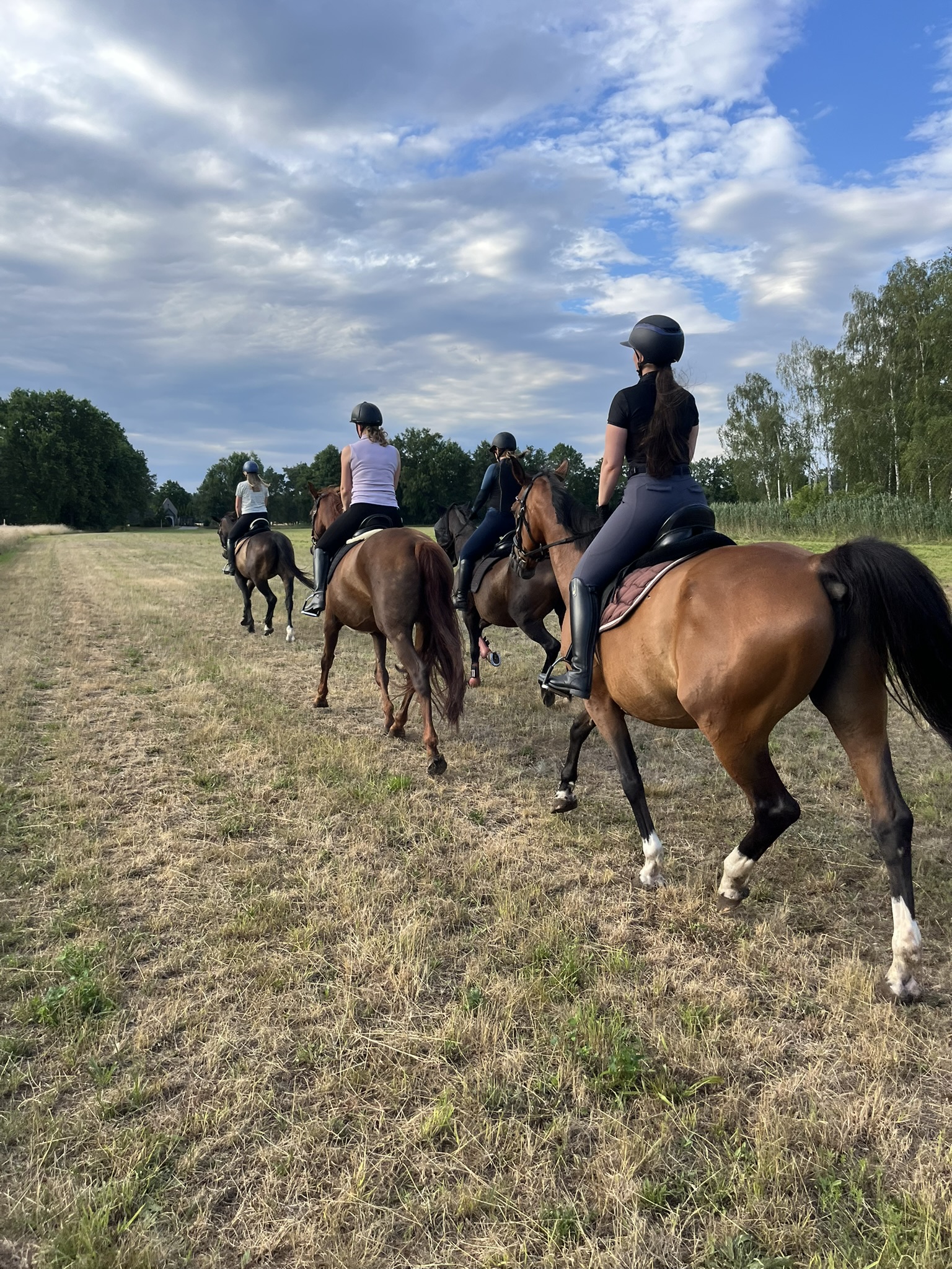 Spass und Freude im Gel�nde