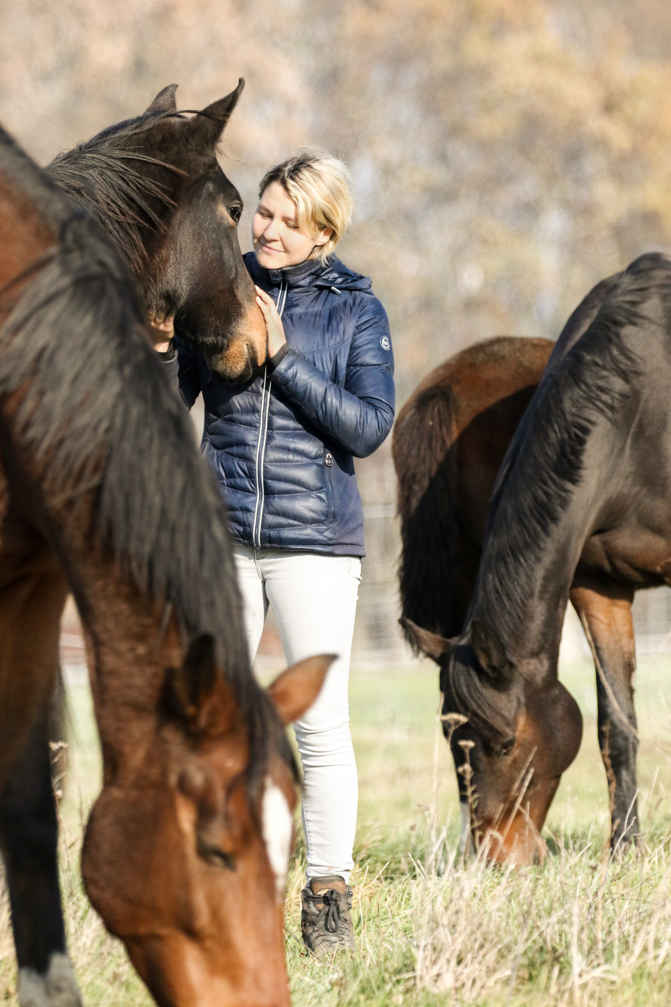 Carolin Sikora inmitten ihrer Pferde auf der Weide