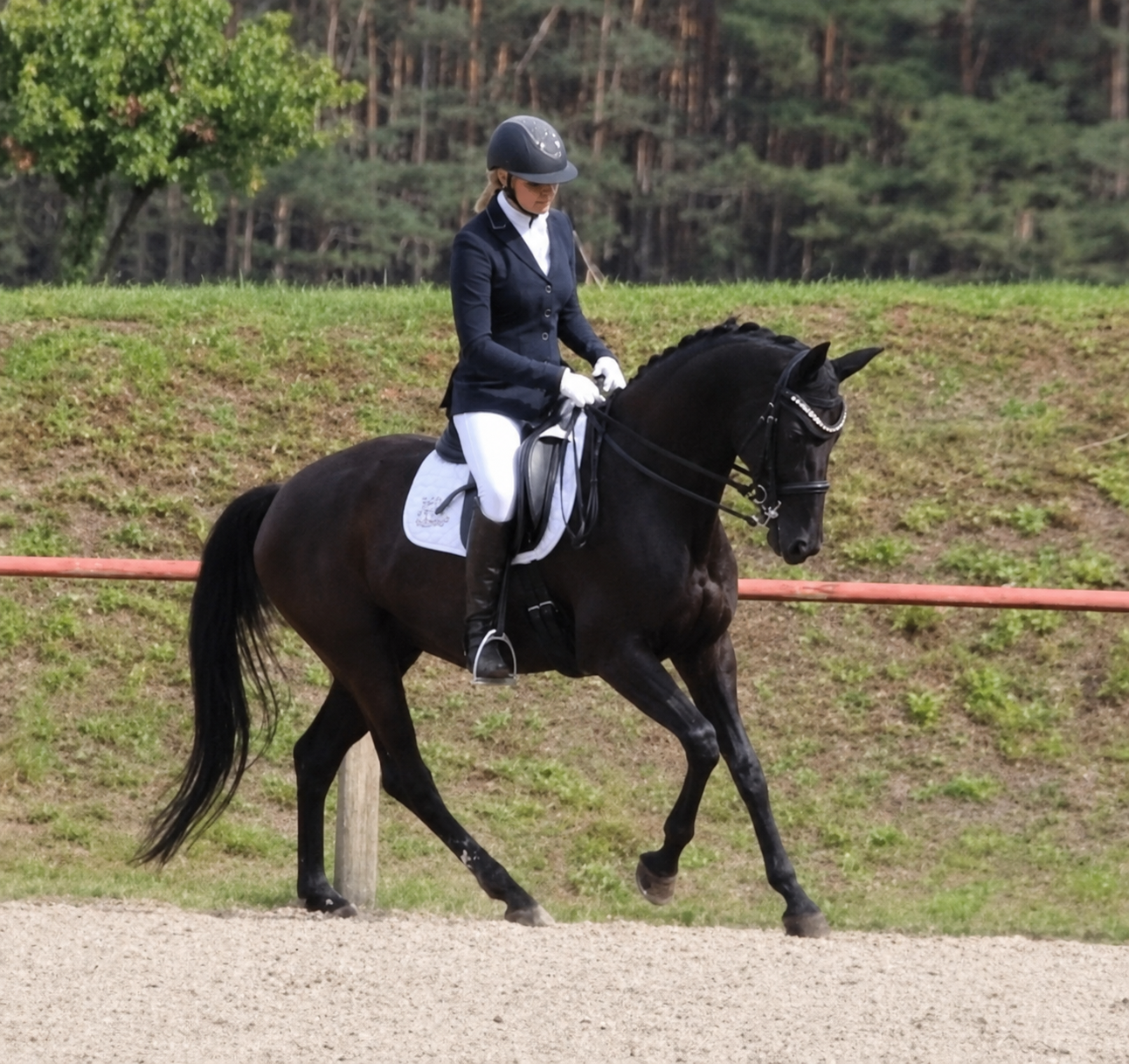 Dressurtraining auf dem Außenplatz mit Carolin Sikora
