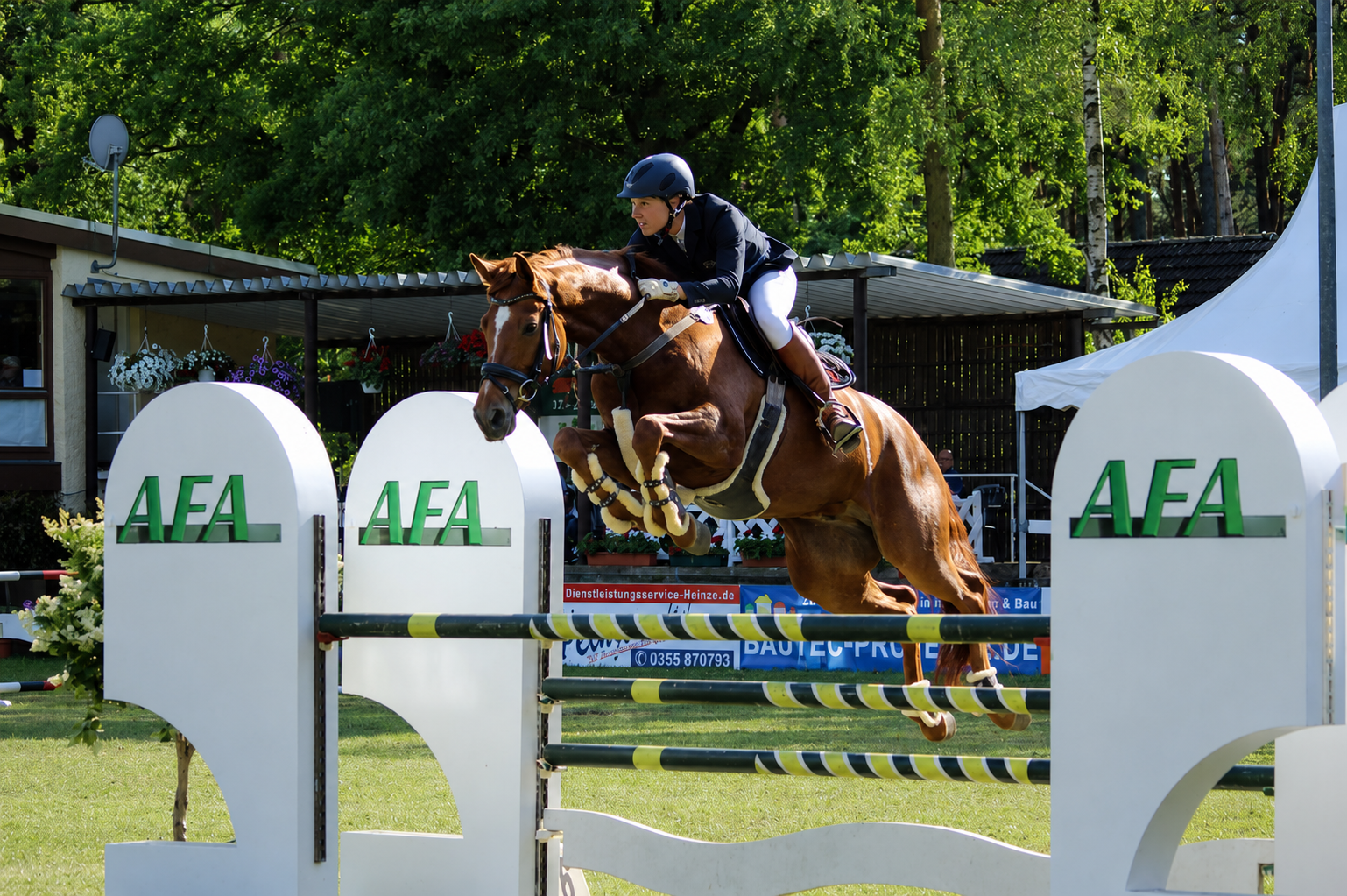 Springpferd mit Carolin auf einem Turnier